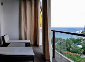 __________ 3_500x241 __________ 3_500x241